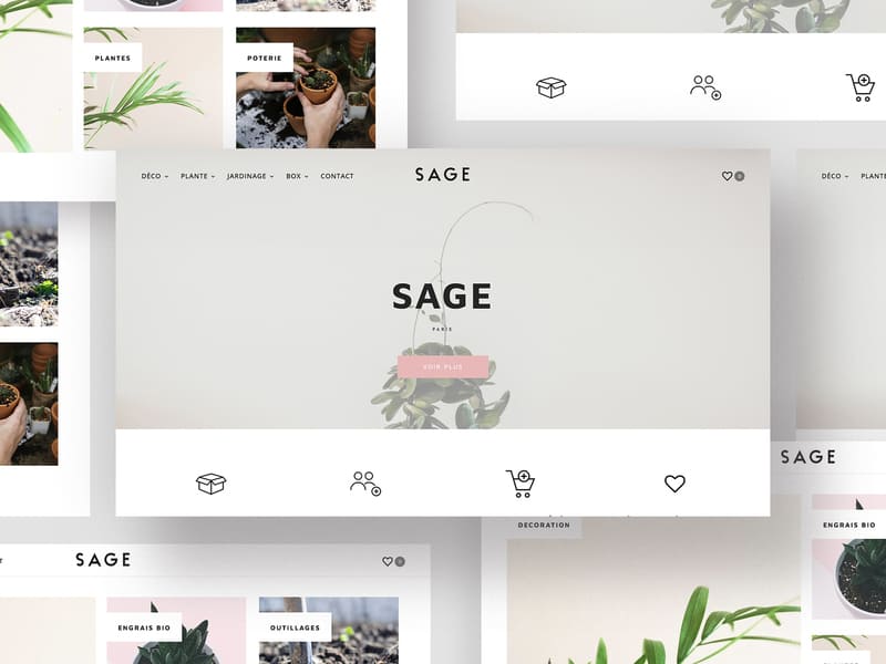 Sage, identité visuelle, site web